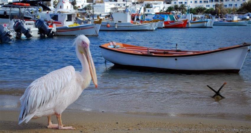 Samos Mykonos Santorini1