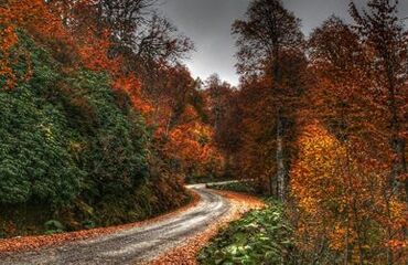 Batı Karadeniz Turu ( 3 Gece 3 Gün )